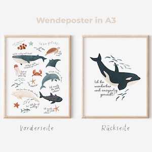 Reversible poster A4 A3 Christian affirmations with sea creatures | Christian children's poster Bible verse baptism gift poster encouragement