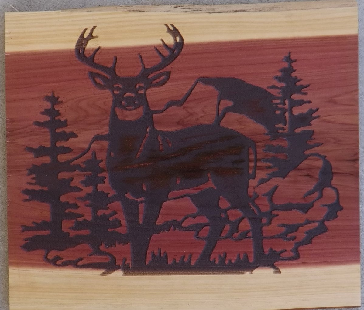 Live Edge Cedar with Laser Engraving of a Whitetail Buck in Etsy