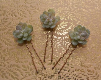 Mini Succulent Hair Pins - Hair Pin for Bridal Hairstyle, Wedding, Handmade | Miss Cherry Blossom
