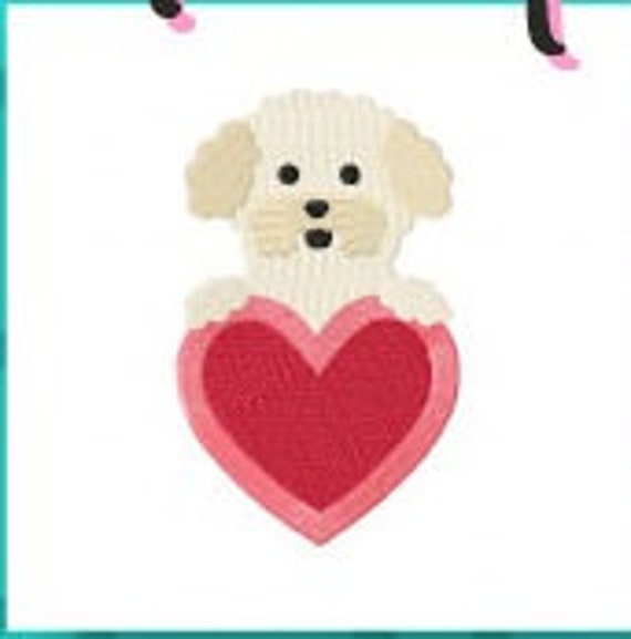 bichon puppy love