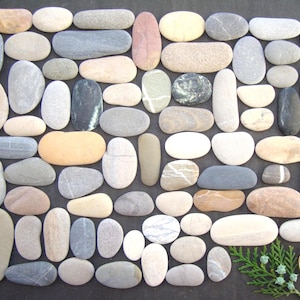 Oblong Sea Pebbles - Large Lot - Unique Batch - Pebble Art Supplies - Mosaic Supplies - Colorful - Quality - Italian Sea Stones - PX14L
