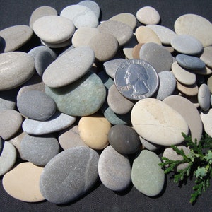Flat Sea Pebbles - Assorted Sizes - Large Batch - Italian Sea Pebbles - Natural - P49L