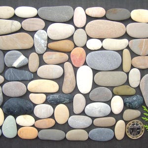 May include: A collection of smooth, rounded river stones in various shades of gray, beige, tan, and white, arranged in a grid-like pattern. A circular metal coin and a small green evergreen sprig are positioned in the bottom right corner.