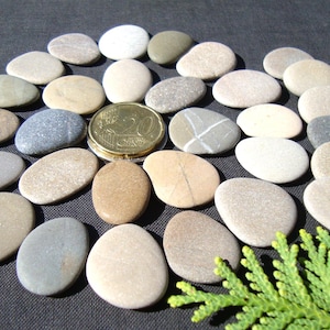 Può includere: Una collezione di pietre lisce e ovali in varie tonalità di grigio, beige e marrone, disposte in un motivo circolare. Una moneta d'oro è posta al centro. Un rametto di fogliame verde si trova nell'angolo in basso a destra.