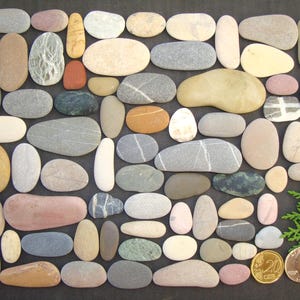 Oblong Sea Pebbles - Large Lot - Unique Batch - Pebble Art Supplies - Mosaic Supplies - Colorful - Quality - Italian Sea Stones - PX61L