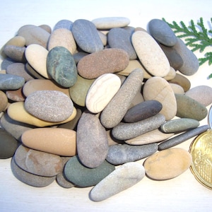 May include: A collection of smooth, rounded stones in various colors, including gray, beige, and brown. Some stones are elongated, while others are more rounded. A sprig of green foliage and two coins are also present.
