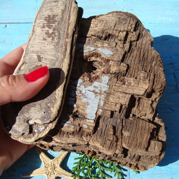 Flat Driftwood - Multilayer Tablets - Unusual Driftwood - Italian Sea Driftwood - Art/Craft Supplies - Rare Beach Finds - Driftwood Art