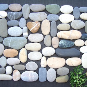 Guijarros marinos oblongos - Lote grande - Lote único - Materiales para arte con guijarros - Materiales para mosaicos - Coloridos - Calidad - Piedras marinas italianas - PX03Q