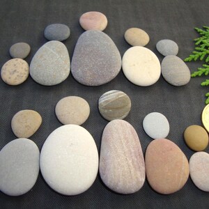 Puede incluir: Una colecci&oacute;n de piedras de r&iacute;o lisas y redondeadas dispuestas en dos filas para parecer figuras humanas, con varios tonos de gris, beige, blanco y marr&oacute;n, junto a una ramita verde y una moneda de un euro dorada para la escala.
