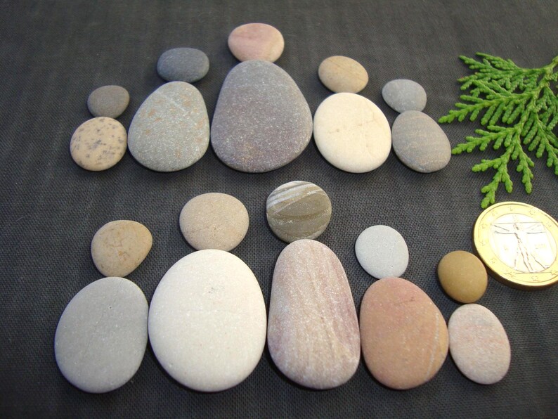Puede incluir: Una colecci&oacute;n de piedras de r&iacute;o lisas y redondeadas dispuestas en dos filas para parecer figuras humanas, con varios tonos de gris, beige, blanco y marr&oacute;n, junto a una ramita verde y una moneda de un euro dorada para la escala.
