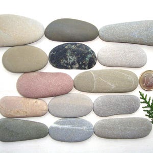 Puede incluir: Una colección de piedras lisas y de forma natural en varios colores, incluyendo gris, beige y rosa. Una moneda de euro y una ramita de vegetación también están presentes, sugiriendo un tema natural. Las piedras varían en tamaño y forma.