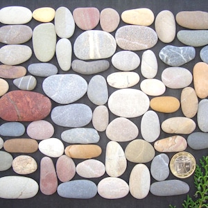 Langwerpige zeekiezelstenen - Grote partij - Unieke partij - Benodigdheden voor kiezelkunst - Mozaïekbenodigdheden - Kleurrijk - Kwaliteit - Italiaanse zeestenen - PX01L