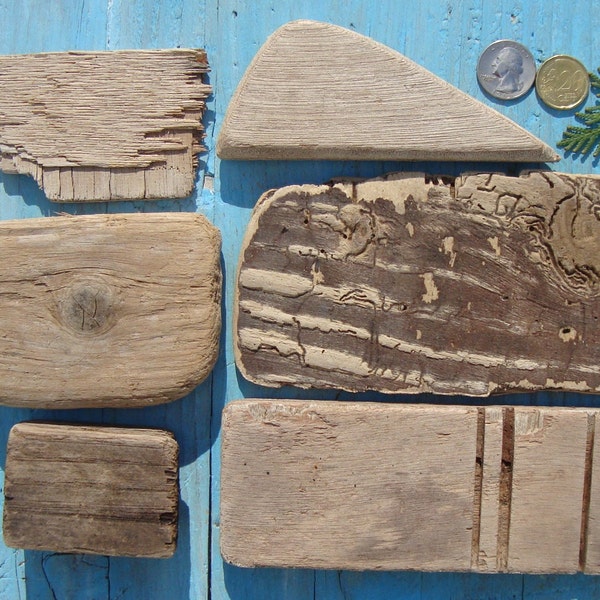 Large Flat Driftwood Etsy