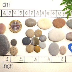 Puede incluir: Una colecci&oacute;n de piedras de r&iacute;o lisas y multicolores dispuestas sobre una cuadr&iacute;cula con marcas en cent&iacute;metros y pulgadas. El conjunto incluye una moneda dorada, un peque&ntilde;o objeto azul en forma de coraz&oacute;n y varias piedras redondeadas.