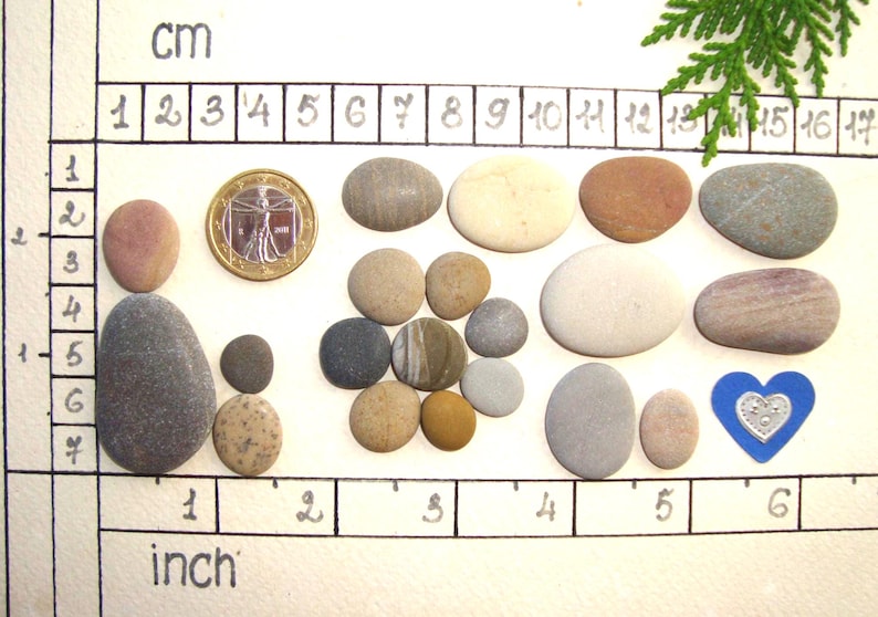 Puede incluir: Una colecci&oacute;n de piedras de r&iacute;o lisas y multicolores dispuestas sobre una cuadr&iacute;cula con marcas en cent&iacute;metros y pulgadas. El conjunto incluye una moneda dorada, un peque&ntilde;o objeto azul en forma de coraz&oacute;n y varias piedras redondeadas.