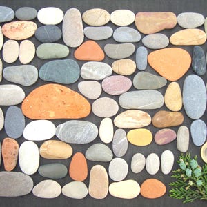 Può includere: Una collezione di pietre lisce e colorate di varie forme, tra cui ovali e oblunghe. Le pietre sono in tonalità di grigio, beige, arancione e rosa. Sono presenti anche un rametto di fogliame verde e una moneta.