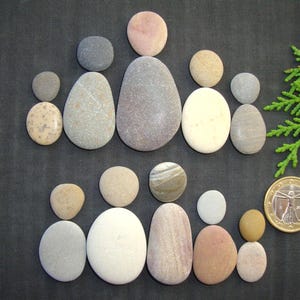 Puede incluir: Una colecci&oacute;n de piedras de r&iacute;o lisas y multicolores dispuestas en dos filas de figuras humanas. Las piedras var&iacute;an en tonos gris, beige, blanco y bronceado. Una moneda de un euro de color dorado se coloca al lado para mostrar la escala.