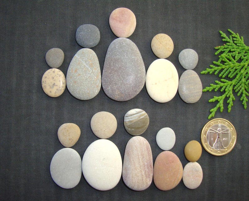 Puede incluir: Una colecci&oacute;n de piedras de r&iacute;o lisas y multicolores dispuestas en dos filas de figuras humanas. Las piedras var&iacute;an en tonos gris, beige, blanco y bronceado. Una moneda de un euro de color dorado se coloca al lado para mostrar la escala.