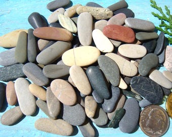 Guijarros marinos oblongos extra pequeños - Materiales para mosaicos - Materiales para arte con guijarros - XS
