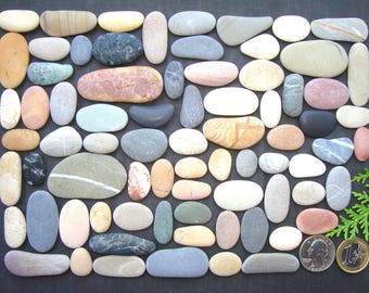 Guijarros marinos oblongos - Lote grande - Lote único - Materiales para arte con guijarros - Materiales para mosaicos - Coloridos - Calidad - Piedras marinas italianas - PX29L