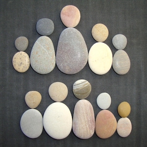 Puede incluir: Una colecci&oacute;n de piedras de r&iacute;o lisas y redondeadas dispuestas en dos filas de figuras humanas. Las piedras var&iacute;an en tama&ntilde;o, forma y color, incluyendo tonos de gris, beige, blanco, rosa y marr&oacute;n, creando una representaci&oacute;n visual de dos grupos.