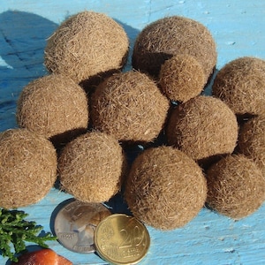 Seaweed Balls - Posidonia Oceanica - Palle di Piante Marine - Beach Finds - Eco-Friendly Beach Decor