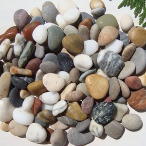 Bulky Sea Pebbles - Mini Sea Stones - Decorative Sea Stones - Large Collection (120) - Craft Sea Stones - Italian - Natural - CP66