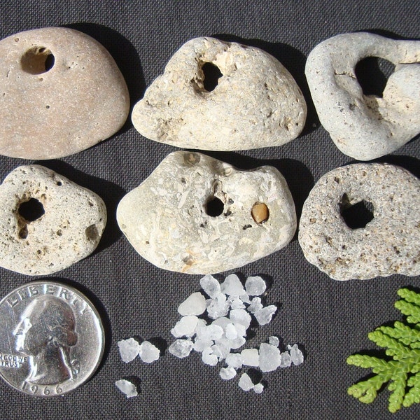 Holey Stones 1.05"- 1.4" - Hag Stones - Odin Stones - Amulet - Genuine Sea Stones with Natural Holes - HS38