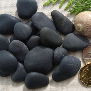 Black Sea Pebbles - Bulk Sea Pebbles - Rare - Craft/Jewelry Supplies