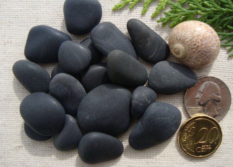 Black Sea Pebbles Bulk Sea Pebbles Rare Craft/Jewelry Etsy Italia
