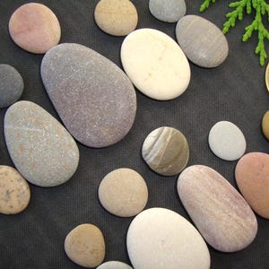 Puede incluir: Una colecci&oacute;n de piedras de r&iacute;o lisas y redondeadas en varios tonos de beige, gris, rosa y blanco, esparcidas junto a una moneda dorada de un euro y una peque&ntilde;a rama de follaje verde, mostrando texturas naturales y tonos tierra.