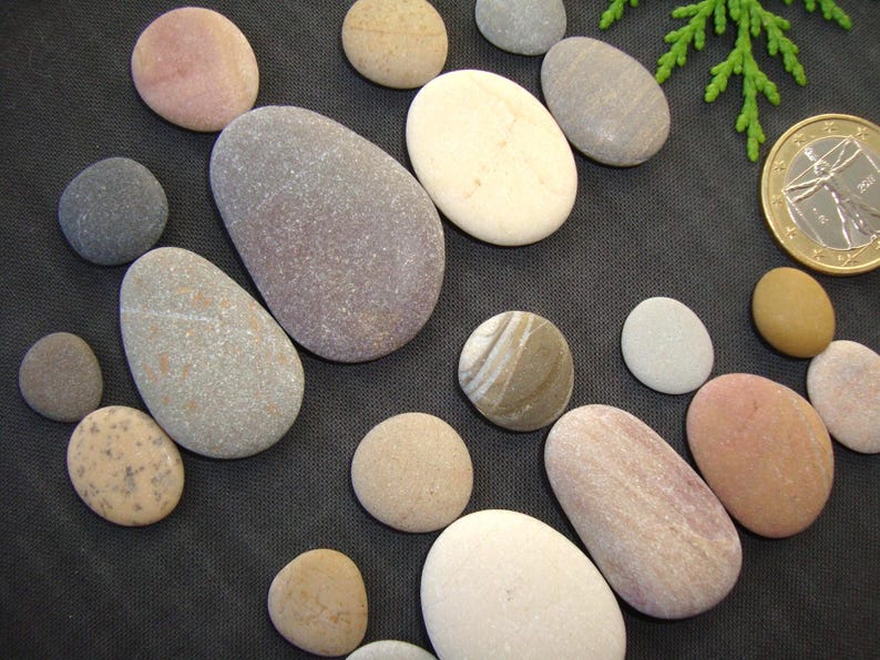 Puede incluir: Una colecci&oacute;n de piedras de r&iacute;o lisas y redondeadas en varios tonos de beige, gris, rosa y blanco, esparcidas junto a una moneda dorada de un euro y una peque&ntilde;a rama de follaje verde, mostrando texturas naturales y tonos tierra.