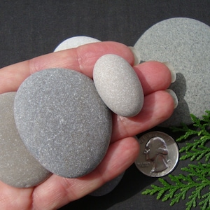 Sea Pebbles for Painting, 6 pcs - Chunky - Assorted Sizes - Italian Sea Pebbles - Art Supplies - Mandala Stones - P4P35