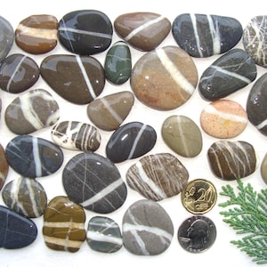Gestreepte zeestenen - Grote partij - Mozaïekbenodigdheden - Wensstenen - Platte zeekiezels - WS52