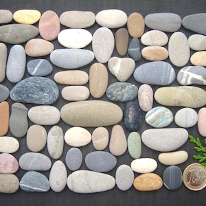 Galets de mer oblongs - Grand lot - Lot unique - Fournitures pour la création de mosaïques - Colorés - Qualité - Pierres de mer italiennes - PX38Q