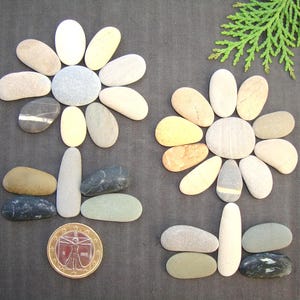 DIY Pebble Picture - Flowers - Small Elongated Stones - Oblong Shape - Creative Material - Small Sea Pebbles - Eco-Friendly - P86