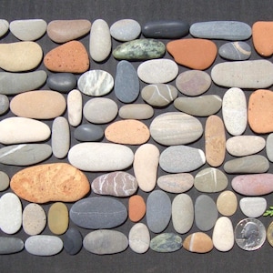 Oblong Sea Pebbles & Sea Pottery - Large Lot - Unique Batch - Pebble Art Supplies - Mosaic Supplies - Quality - Italian Sea Stones - PX25Lc