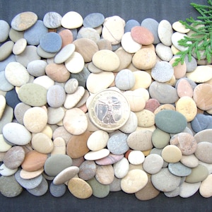 Op de afbeelding: Een verzameling gladde, afgeronde rivierstenen in diverse tinten beige, grijs, bruin en wit. Een ronde, goudkleurige munt met de afbeelding van de Vitruviusman ligt in het midden van de stenen en dient als referentie voor de schaal.