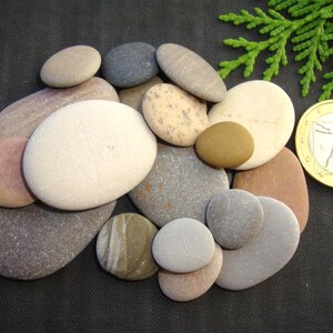 Puede incluir: Una colecci&oacute;n de piedras de r&iacute;o lisas y redondeadas en varios tonos beige, gris, marr&oacute;n y bronceado, dispuestas en un grupo junto a una moneda de un euro dorada para comparar el tama&ntilde;o, con una peque&ntilde;a rama verde visible en la parte superior.