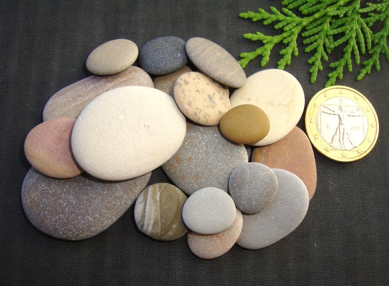 Puede incluir: Una colecci&oacute;n de piedras de r&iacute;o lisas y redondeadas en varios tonos beige, gris, marr&oacute;n y bronceado, dispuestas en un grupo junto a una moneda de un euro dorada para comparar el tama&ntilde;o, con una peque&ntilde;a rama verde visible en la parte superior.