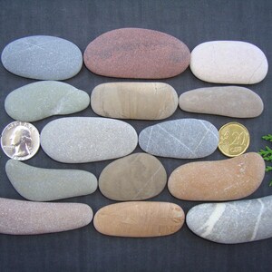 Large Oblong Sea Pebbles - Large Lot - Unique Batch - Mosaic Supplies - Colorful - Quality - Italian Sea Stones - PX60L