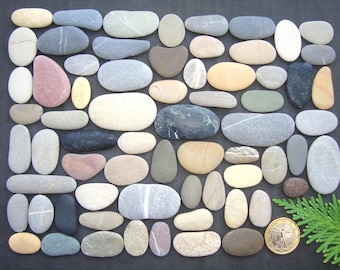 Puede incluir: Una colección de piedras de río lisas y redondeadas en varios tonos de gris, beige, blanco, marrón y rosa, dispuestas en un patrón de cuadrícula junto a una moneda dorada y una pequeña rama de conífera verde.