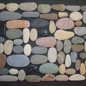Oblong Sea Pebbles - Large Lot - Unique Batch - Pebble Art Supplies - Mosaic Supplies - Colorful - Quality - Italian Sea Stones - PX58L