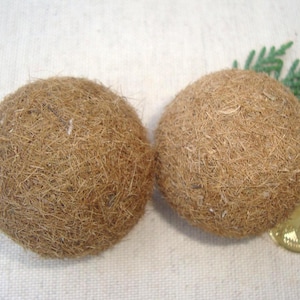 Bolas de algas extra grandes: hallazgos raros en la playa