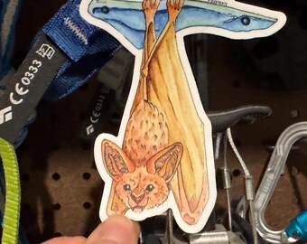 Peut inclure: Une illustration aquarelle d'une chauve-souris brune suspendue à l'envers à une branche bleue. La chauve-souris a de grandes oreilles et un long museau. L'illustration est imprimée sur un autocollant blanc.
