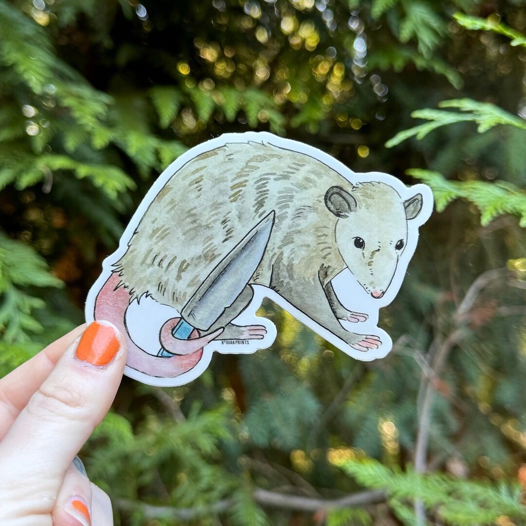 Opossum Vinyl Decal Sticker - Etsy
