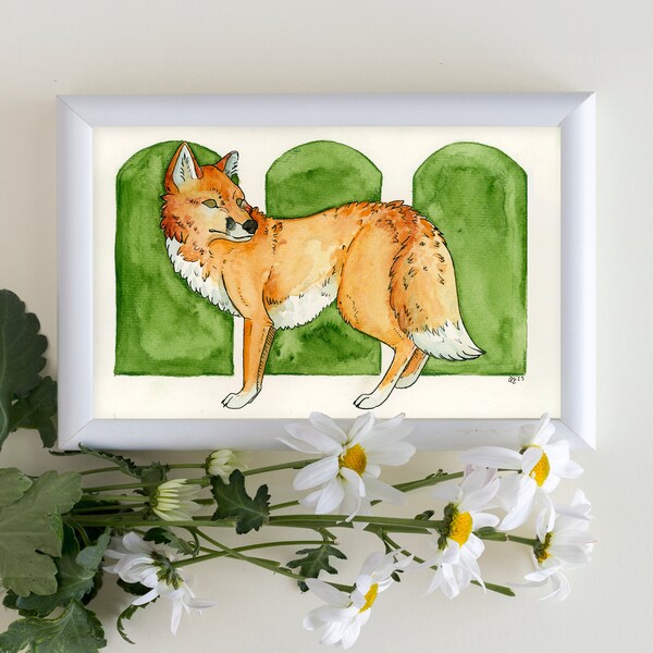 She Watches - Watercolor Fine Art Print, Fox