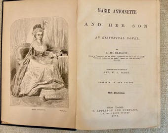 1883 Marie Antoinette and Her Son Antique Book L. Mühlbach Appleton Illustrated Historical Novel