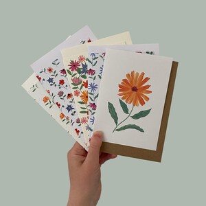 Lot de vente d'échantillons de plantes médicinales
