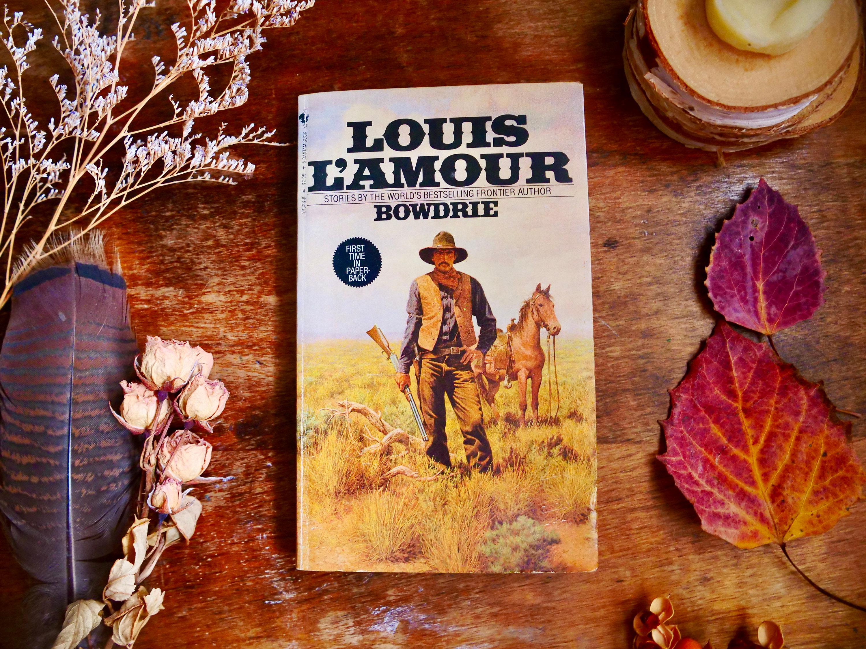 11 Lot of Louis L'Amour Books Vintage Western Paperbacks Louis Lamour lot  of 11
